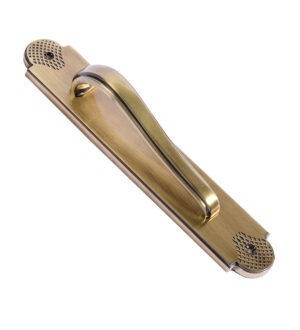 Agatha Brass Door Pull Handle on Plate