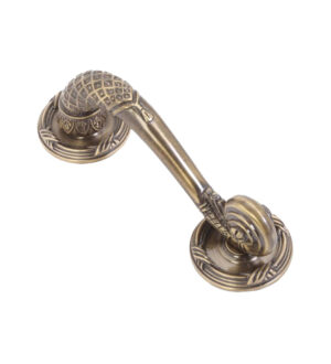 Badshah on Rose Brass Door Pull Handle