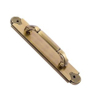 Daisy Brass Door Pull Handle on Plate