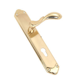 Lexa Gold Stain  Brass  Door Lever Handle Classic on plate