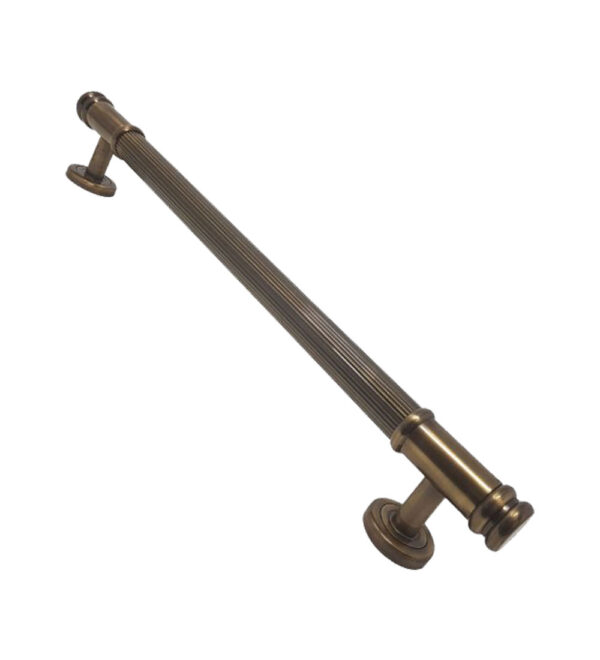 Olga Brass Door Pull Handle