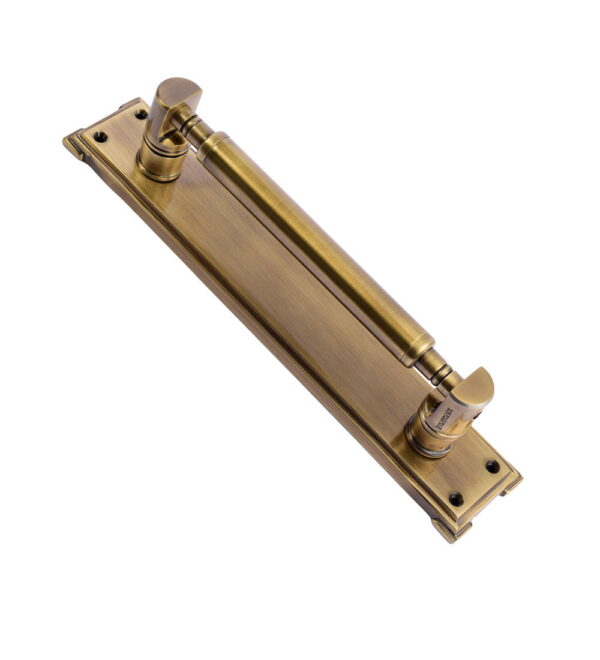 Carlos Brass Door Pull Handle on Plate