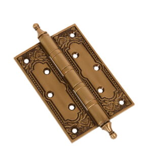 Zara Hinge Brass