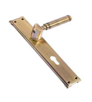 Crescent Antique Brass Door Lever Handle Contemporary on Plate