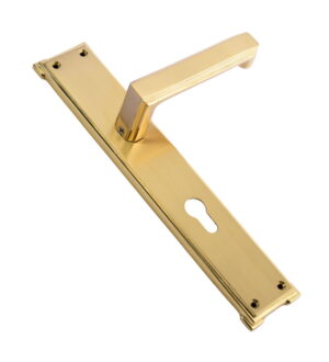 Elizabeth Gold Stain Brass Door Lever Handle Contemporary on Plate