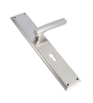 Victor Brushed Nickel Brass Door Lever Handle Contemporary on Plate