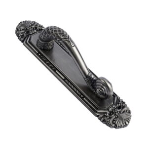 Zeenat Brass Door Pull Handle on Plate